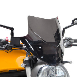 Cupolino Aerosport Fume...