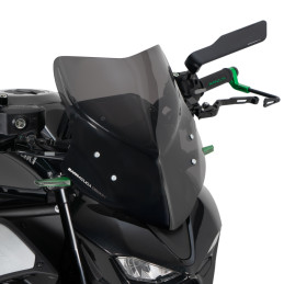 Cupolino Aerosport Fume...