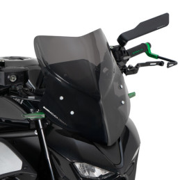 Cupolino Aerosport Fume...