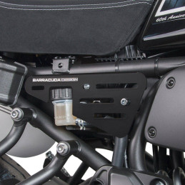 Pair of Barracuda Side...