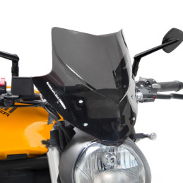 Cupolino Aerosport Fume...